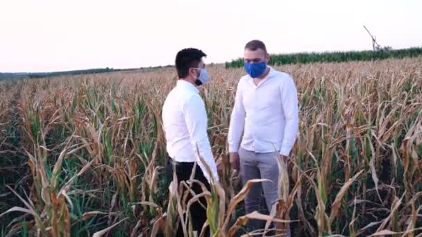 Двоє харизматичних бізнесменів посеред посушливого кукурудзяного поля . — стокове відео