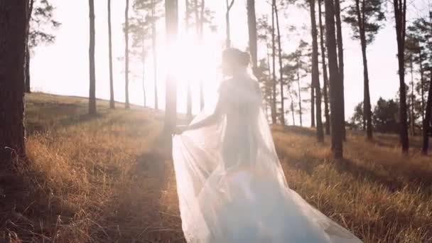 Ένα γενικό σκηνικό στο πάρκο. Μια νεαρή νύφη ντυμένη με λευκό νυφικό. — Αρχείο Βίντεο