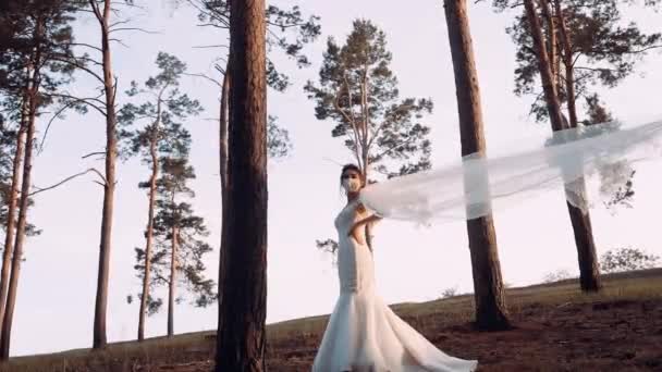 Un video con una joven vestida con un vestido de novia largo. Es un plan general. — Vídeos de Stock