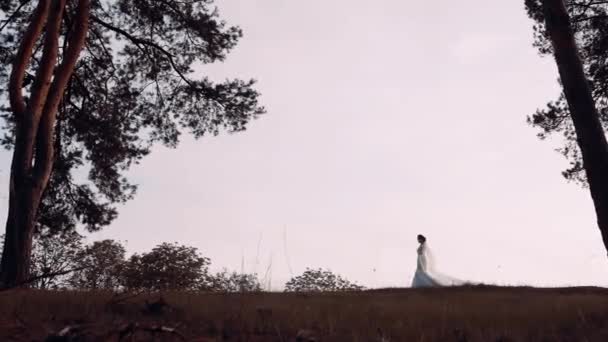 Un marco general con una chica joven vestida con un vestido de novia largo apretado en el cuerpo — Vídeos de Stock