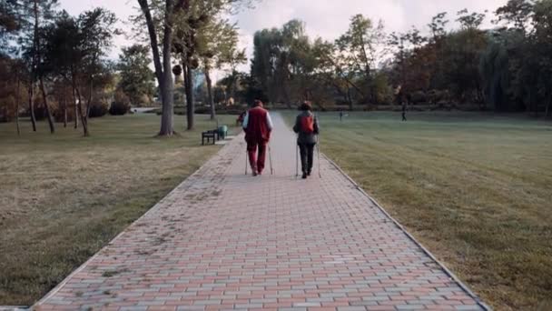 Dos ancianas caminan lentamente con la ayuda de palos a través de un hermoso parque en Moldavia. — Vídeos de Stock