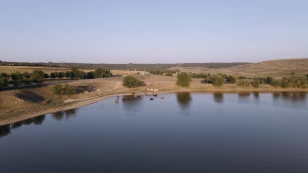 Vídeo com o drone sobre um lago. Há várias caras no lago e elas arrefecem. — Vídeo de Stock