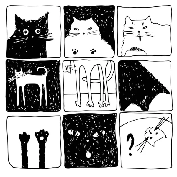 Vector Set Nine Hand Drawn Illustrations Cats Different Positions Isolated — Stock Vector