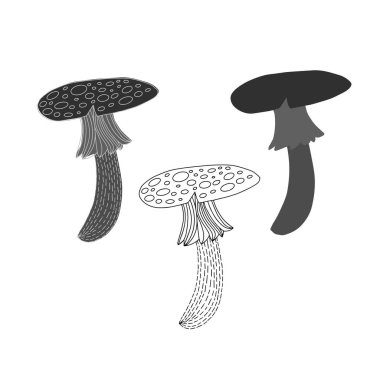 Beyaz arkaplanda izole edilmiş mantar dizaynı. 