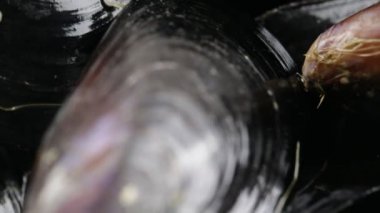 Midye biyo restaurant için