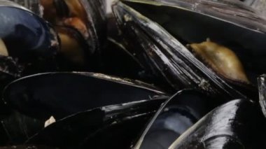 Midye biyo restaurant için