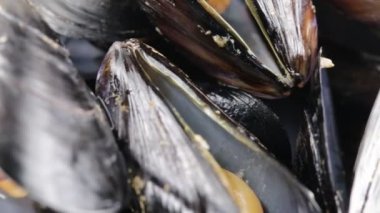 Midye biyo restaurant için