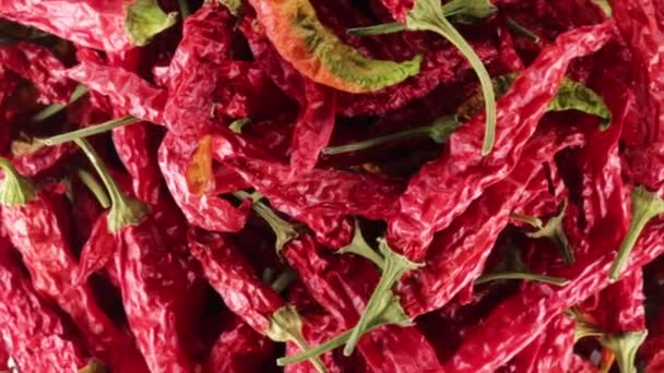 Chiles Rojos Secos Calabros Para Cocinar — Vídeo de stock