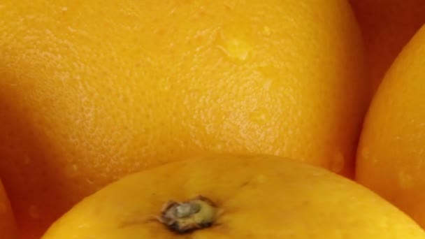 Bio Orangen Für Saft — Stockvideo