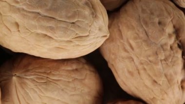 Amerikan ceviz biyo meyve