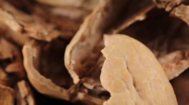 Kurutulmuş pekan fındık kabuğu