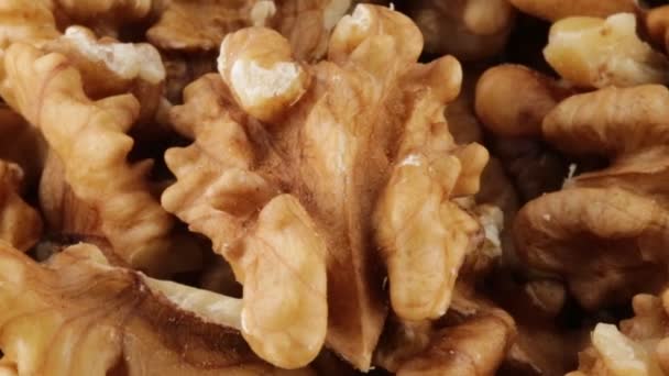 American Walnuts Bio Fruit — Stock Video