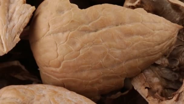 Skořápky Sušené Pekanových Ořechů — Stock video