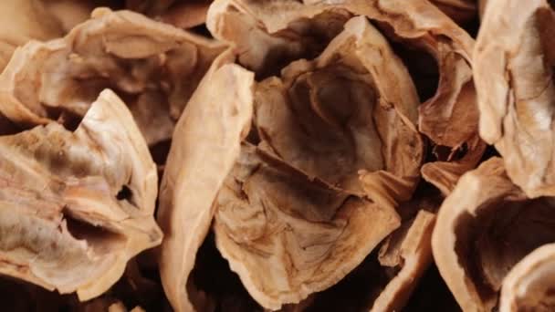 Skořápky Sušené Pekanových Ořechů — Stock video
