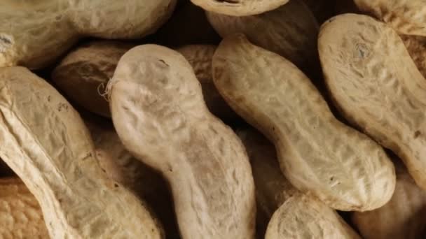 Salted American Peanuts Bio — стоковое видео