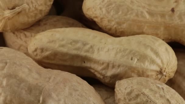 アメリカのピーナッツは塩バイオ — ストック動画
