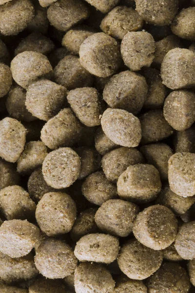 Köpekler için gıda biyo