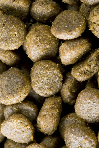 Köpekler için gıda biyo