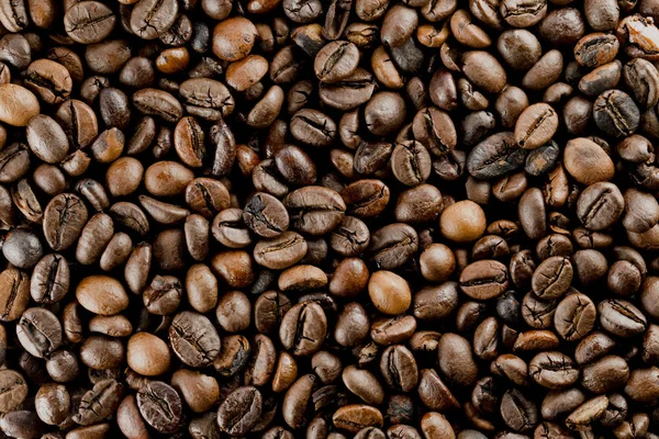Brazil Coffee Bio Seeds Stock Photo