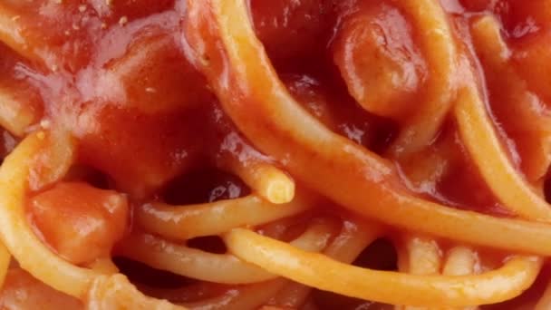 Spaghetti All Amatriciana Bio — Video Stock