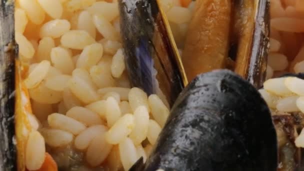 Arroz Com Frutos Mar Bio — Vídeo de Stock