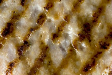 Izgara hamburger gıda biyo