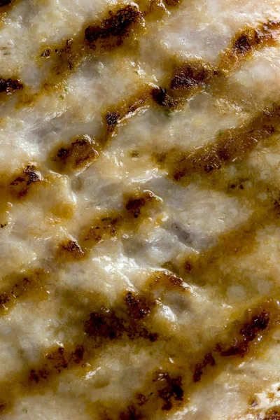 Izgara hamburger gıda biyo