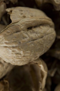 Kurutulmuş pekan fındık kabuğu