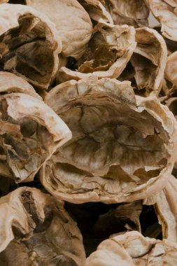 Kurutulmuş pekan fındık kabuğu