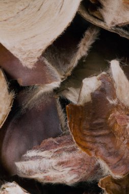 Kestane kabuğu Biyo gıda