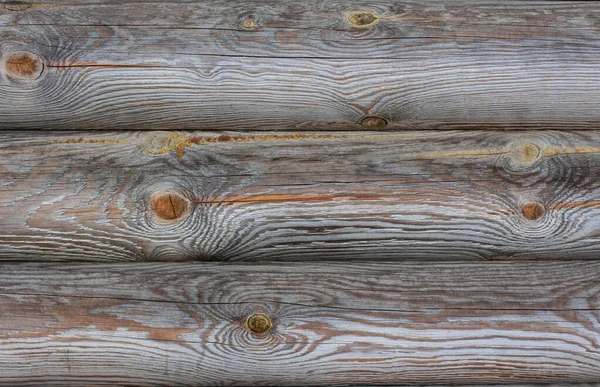 Textura Madeira Log Close Fundo — Fotografia de Stock