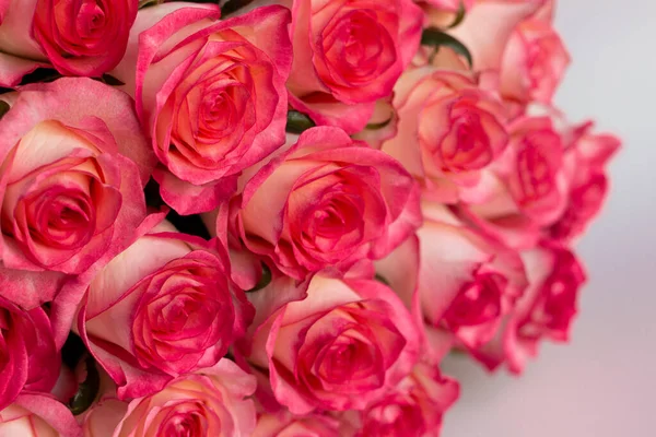 Ramo Rosas Rosadas Cerca — Foto de Stock