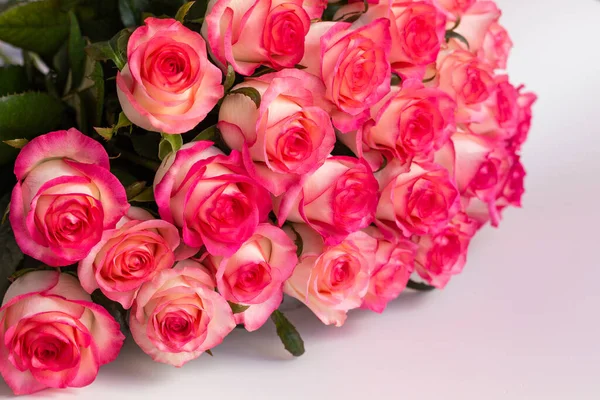 Un ramo de rosas rosadas de cerca — Foto de Stock