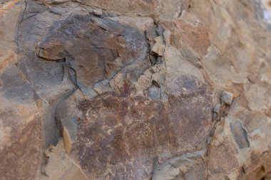 kahverengi taş dokusu yakın plan