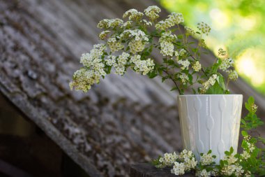 Gri arka planda çiçekli beyaz vazo