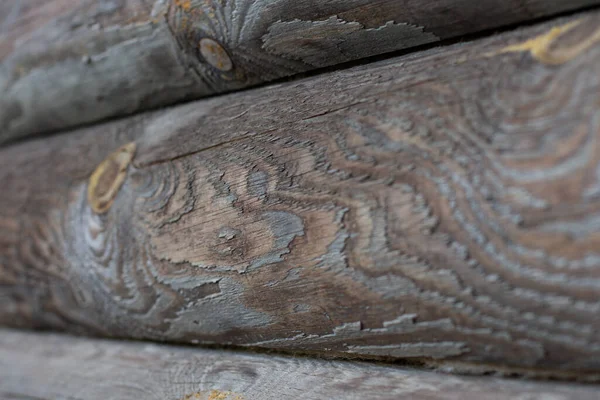 Log close-up, textura de madeira — Fotografia de Stock