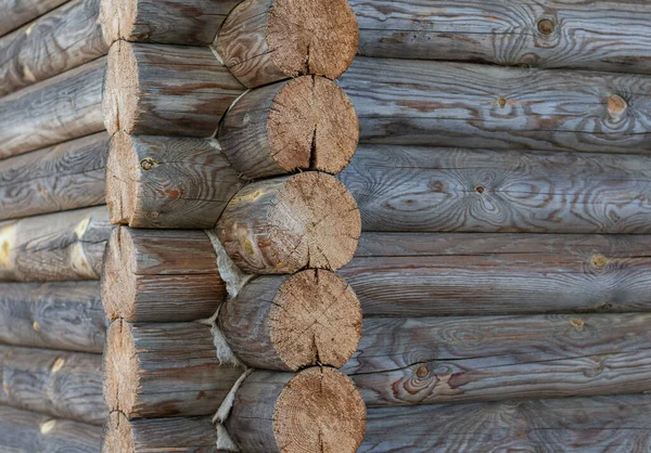 Zbliżenie, tekstura drewna szaro-brązowego, tło — Zdjęcie stockowe