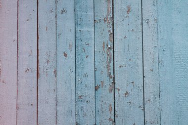 Doğal ahşap zemin, boyası soyulmuş. 