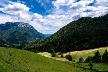 Slovenya 'nın Kamnik Dağları' ndaki Logar Vadisi Yaz Manzarası