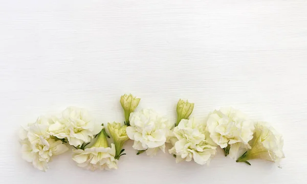 Bílé pozadí s květinami, flatlay, kopie prostor, pohled shora, stůl — Stock fotografie