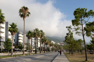 Asfalt yolu tatil köyünde palmiye ağaçlarıyla çevrili..