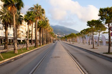 Asfalt yolu tatil köyünde palmiye ağaçlarıyla çevrili..