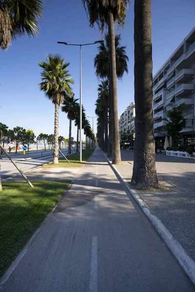 Σκιές Φοινικόδεντρων Παίζουν Κατά Μήκος Του Ποδηλατικού Δρόμου Venice Beach — Φωτογραφία Αρχείου