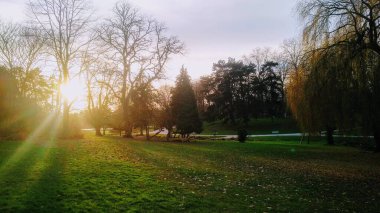 Fransa 'nın Roubaix kentindeki Parc Barbieux' da gün batımı. Güneş ışığı ağaçlar ve dallar arasında ışık huzmelerine ayrılır ve sakin mistik bir zemin oluşturur. Sonbahar yaprakları çimenlerin üzerine yayıldı ve ağaçların çoğunu çıplak bıraktı..