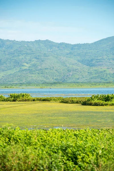 Laguna El Jocotal, El Transito, San Miguel El Salvador 'da, nemfomanla kaplı bir lagün.