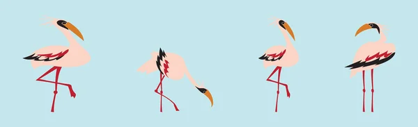Conjunto Plantilla Diseño Iconos Dibujos Animados Flamencos Con Varios Modelos — Archivo Imágenes Vectoriales