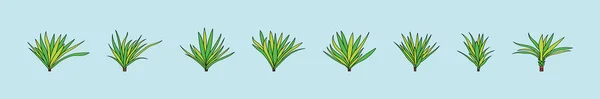 Σύνολο Yucca Φυτό Σύγχρονο Πρότυπο Σχεδιασμού Εικονίδιο Κινουμένων Σχεδίων Διάφορα — Διανυσματικό Αρχείο