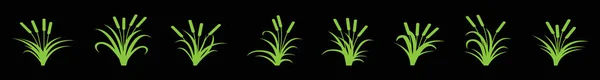 一套尾巴植物卡通图标设计模板与各种模型 在黑色背景上孤立的向量图 — 图库矢量图片