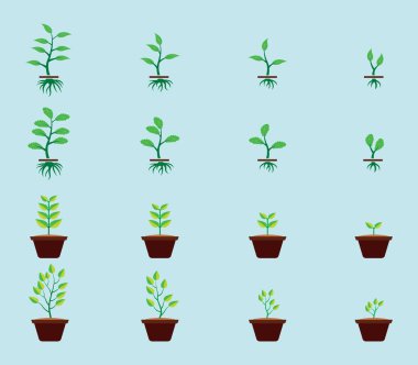 Esrar karikatürü ikon tasarım şablonunda çeşitli modellerle büyüyen bitkiler. Mavi arkaplanda izole edilmiş vektör illüstrasyonu