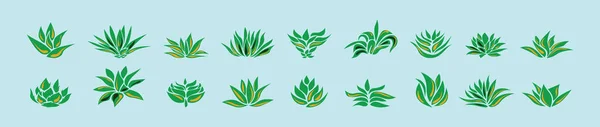 Набор Шаблонов Иконок Зеленого Агавы Различными Моделями Векторная Иллюстрация Синем — стоковый вектор